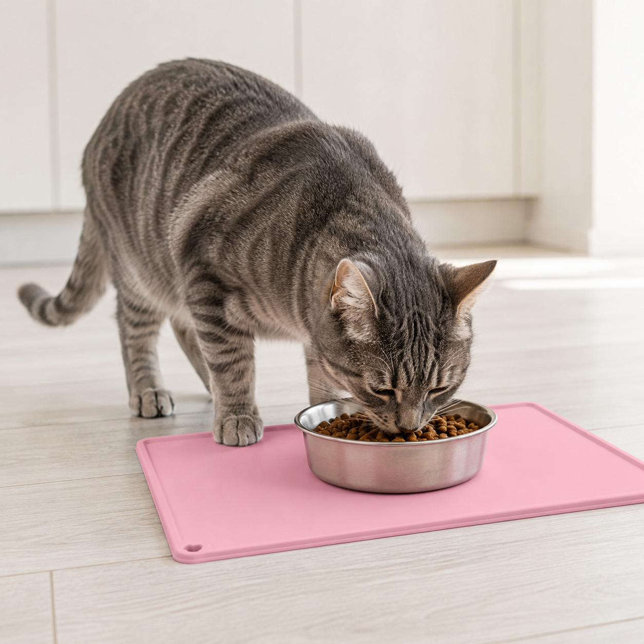Petvara Waterproof Silicone Feeding Mat